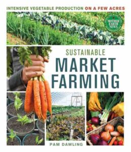 All About Growing Cover Crops Image